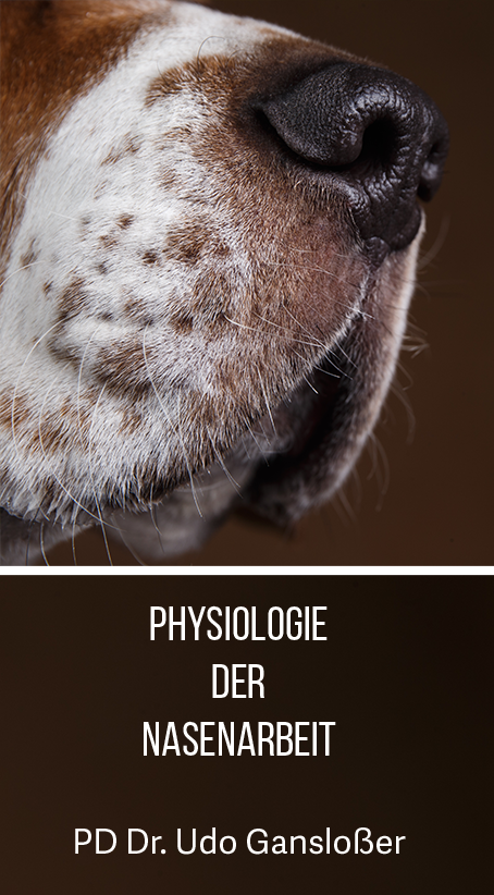 ganslosser nasenarbeit<br />
