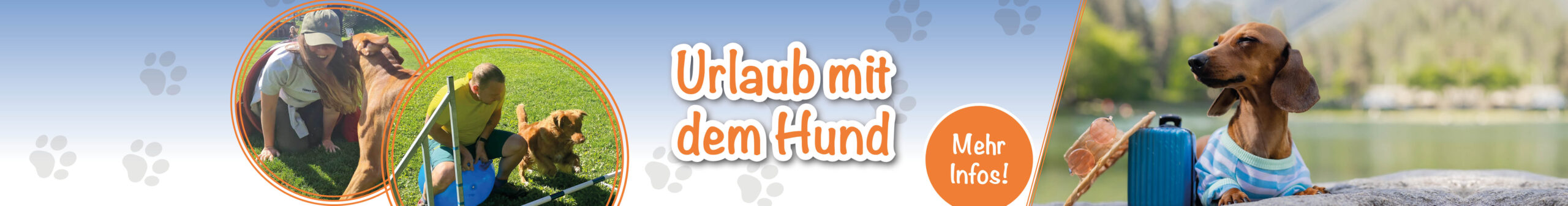 daniela_werbebanner_urlaub