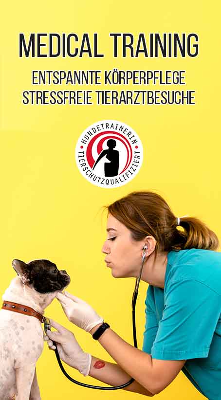Medical Training Kurs