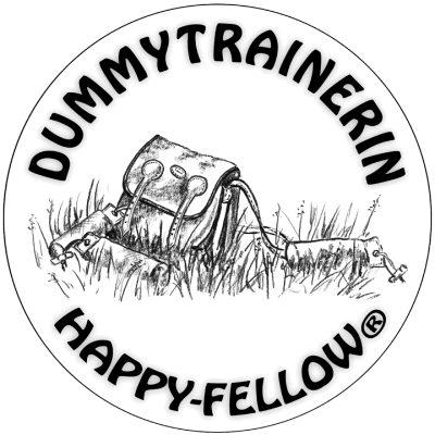 logo_dummytrainer logo_dummytrainerin