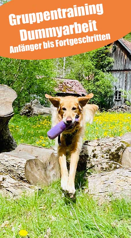 Dummytraining_gruppenkurse