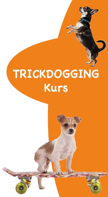 Trickdogging