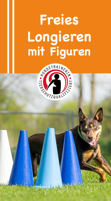 longieren mit figuren