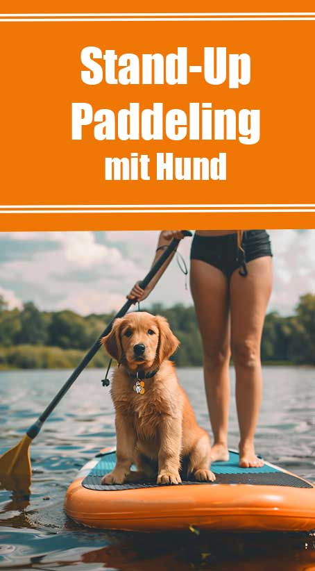 sup mit hund